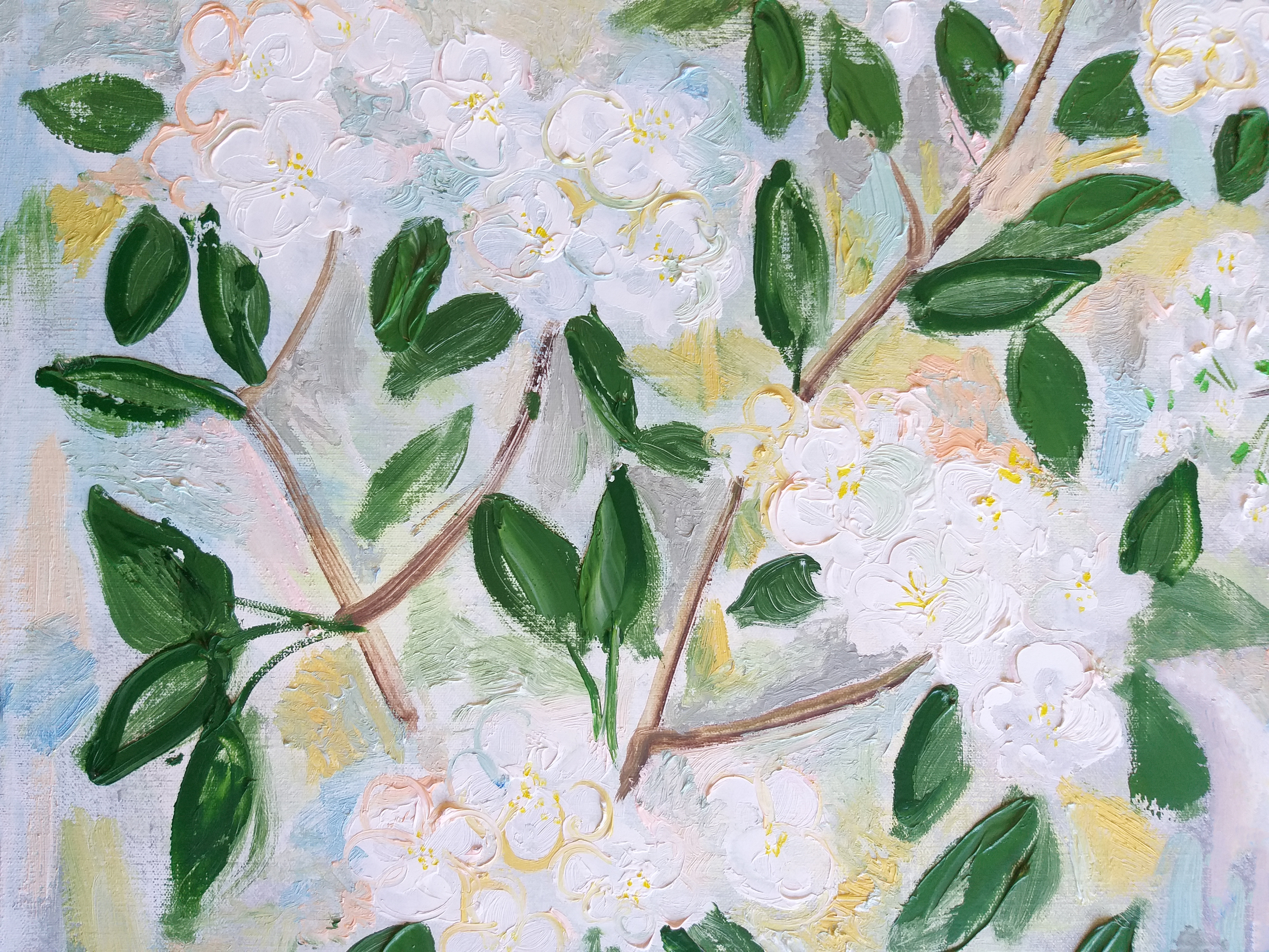 エイジングケア